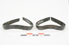 Foto von Bronzeschaukelfußreif (NHMW-PRAE-026220)